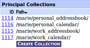 DAViCal Collection name